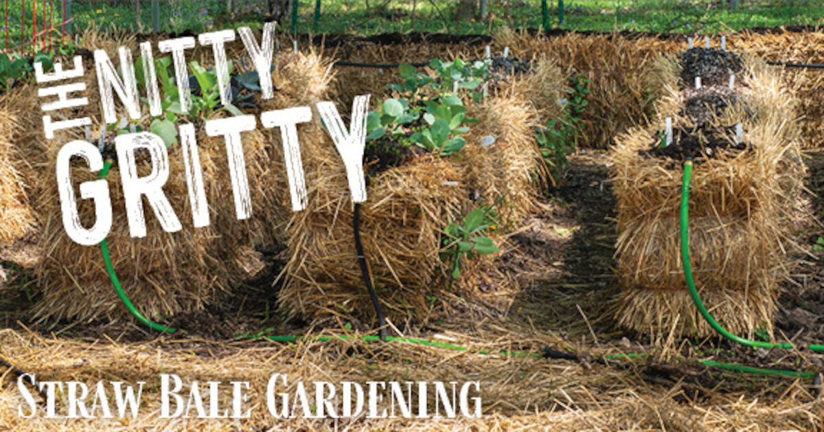 Straw Bale Gardening - Gebo's