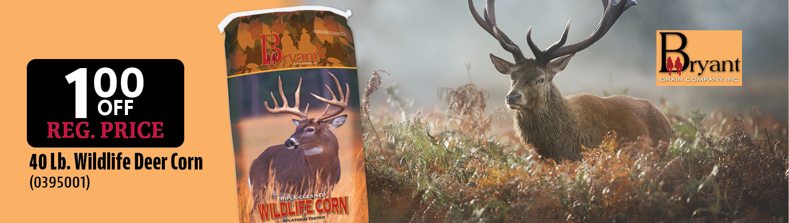Deer Corn
