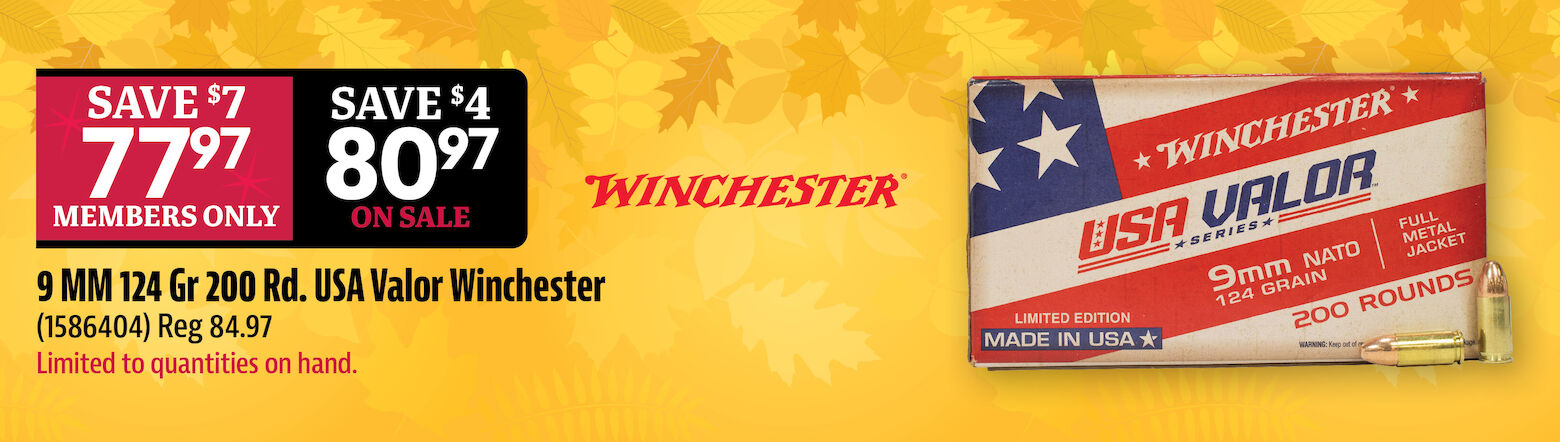 Winchester