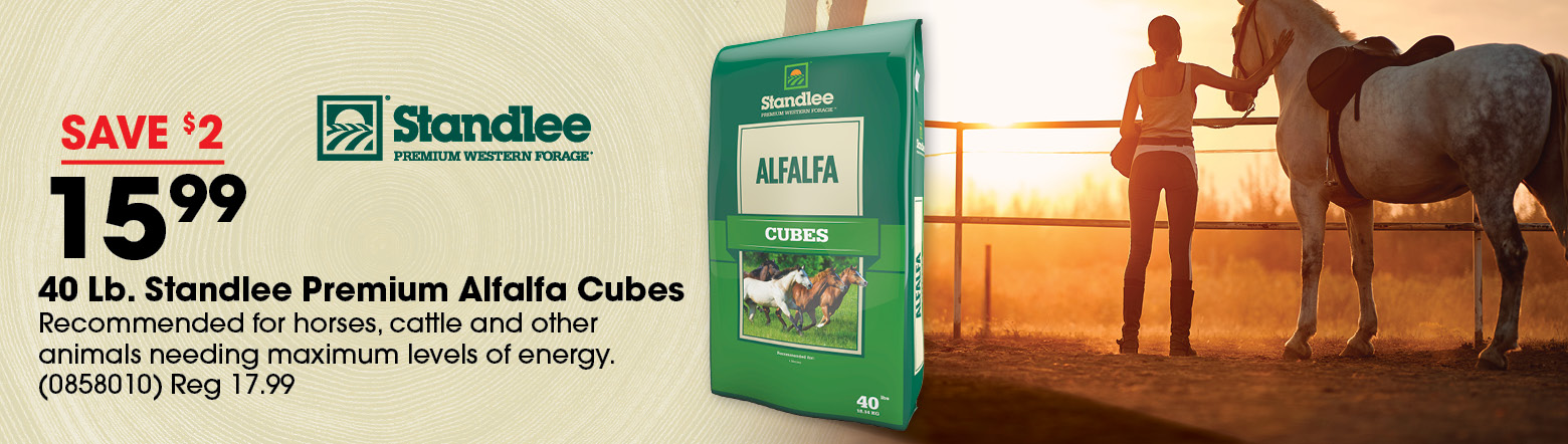 Alfalfa Cubes