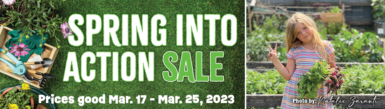 Spring Into Action Sale
