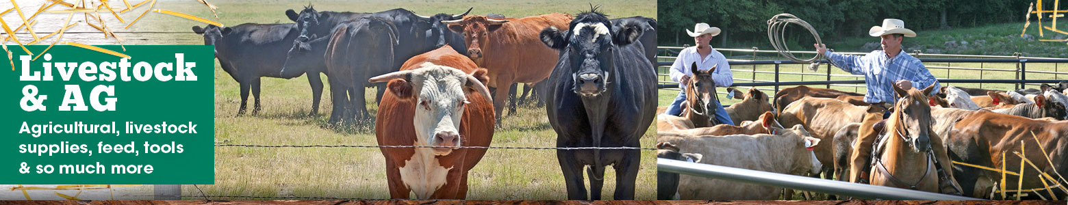 Livestock & Ag Livestock & Ag Header