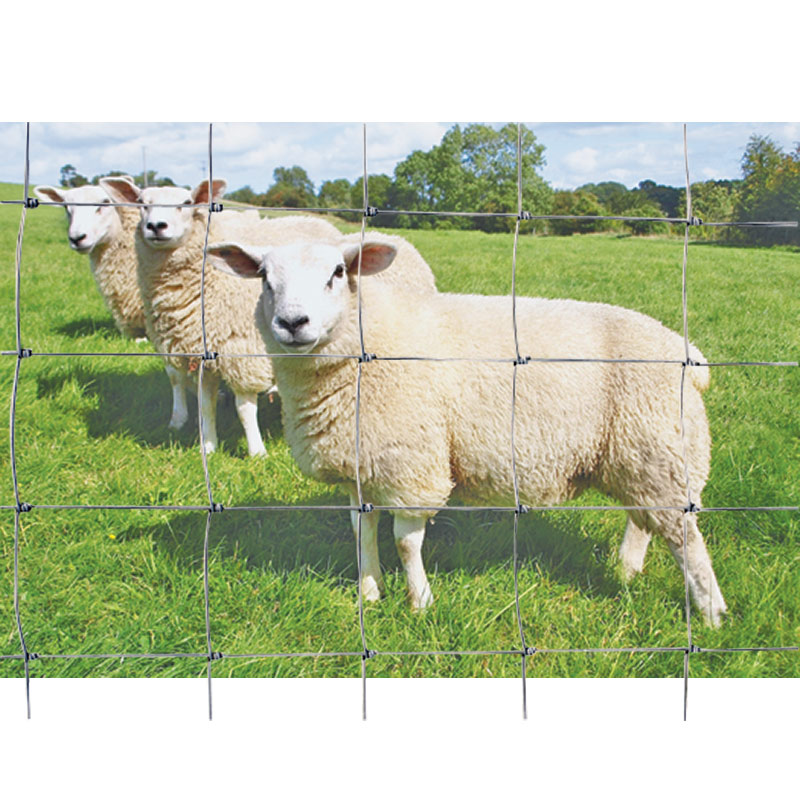 48"Hx330'L Sheep & Goat Fence - Gebo's
