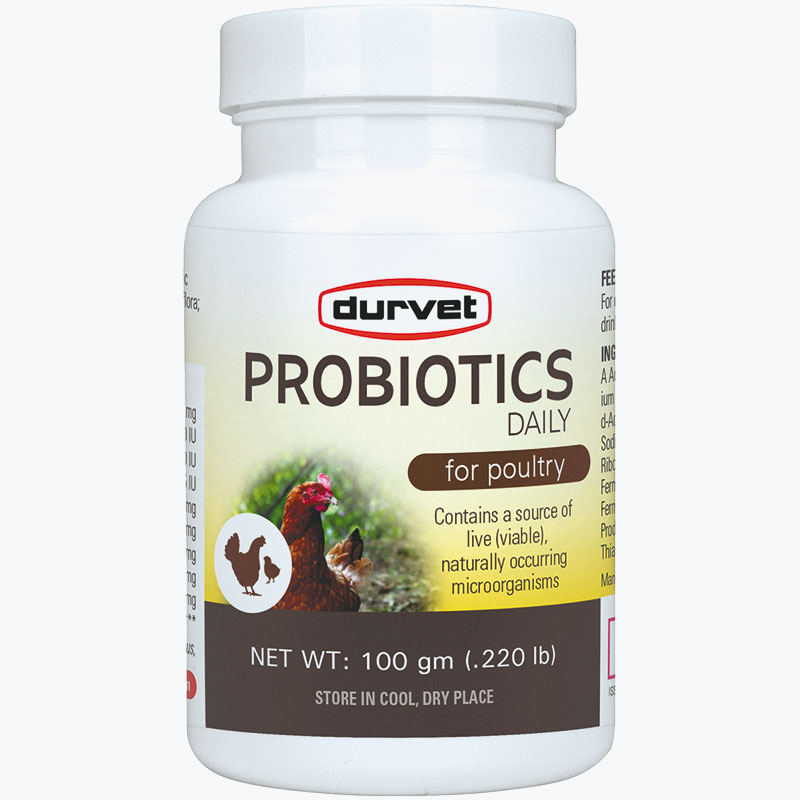 100 Gm. Probiotics Daily For Poultry - Gebo's
