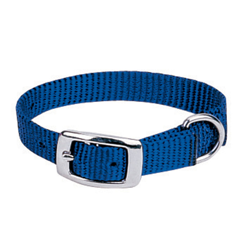 carril Servicio Triturado 1" X 19" Prism Choice Nylon Blue Dog Collar - Gebo's