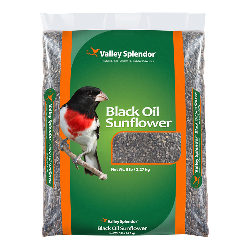 5 Lb. Valley Splendor Black Oil Sunflower Seed - Gebo's