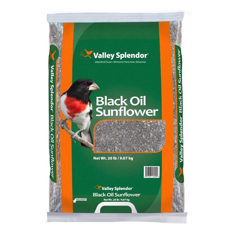 20 Lb. Valley Splendor Black Oil Sunflower Seeds - Gebo's