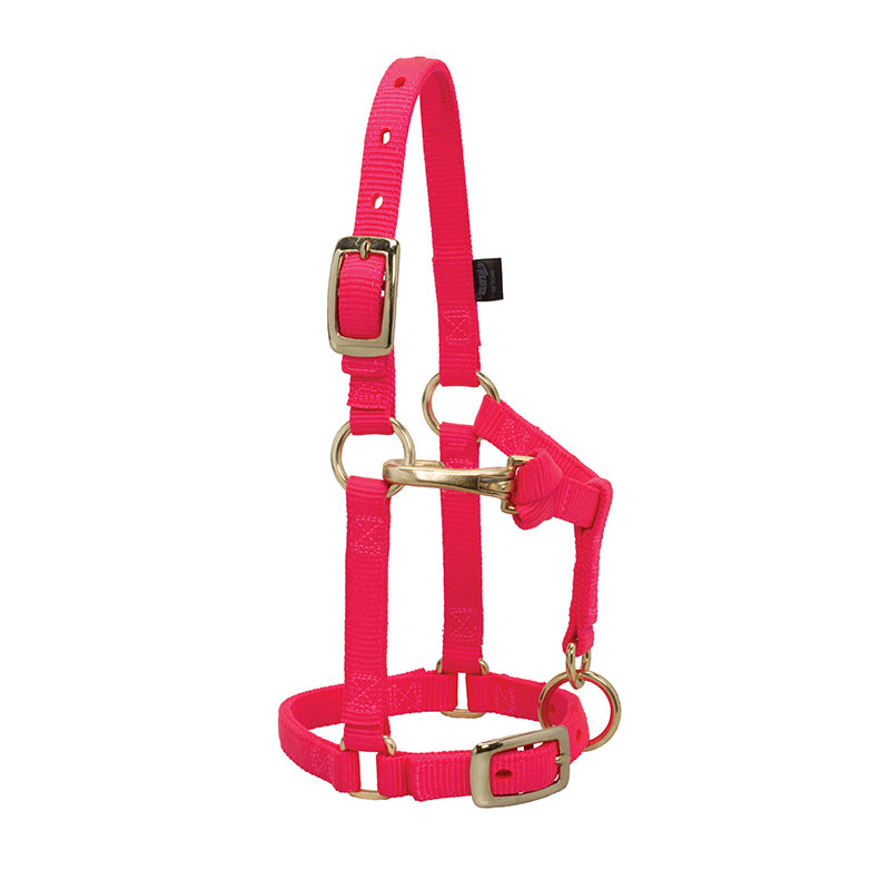 Weaver Leather Nylon Miniature Horse Adjustable Halter (Average Mini Horse) - Diva Pink - Gebo's