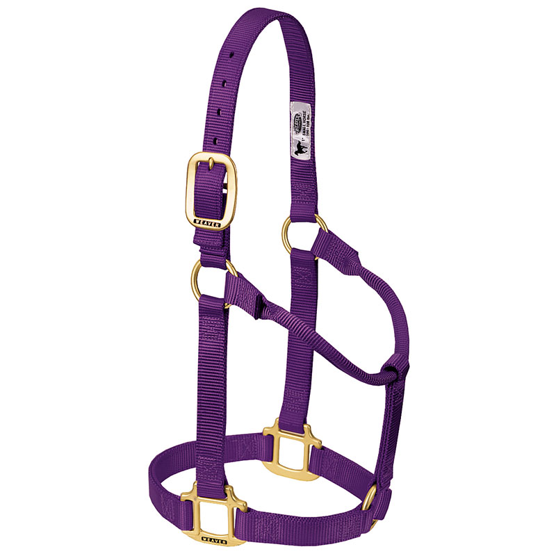 Weaver Leather Original Non-Adjustable Nylon Horse Halter (Average Horse) - Purple - Gebo's