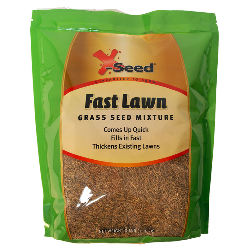3 Lb. X-Seed Fast Lawn Grass Seed Mixture - Gebo's