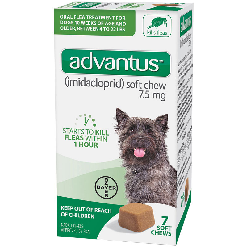 flea treatment small dogs