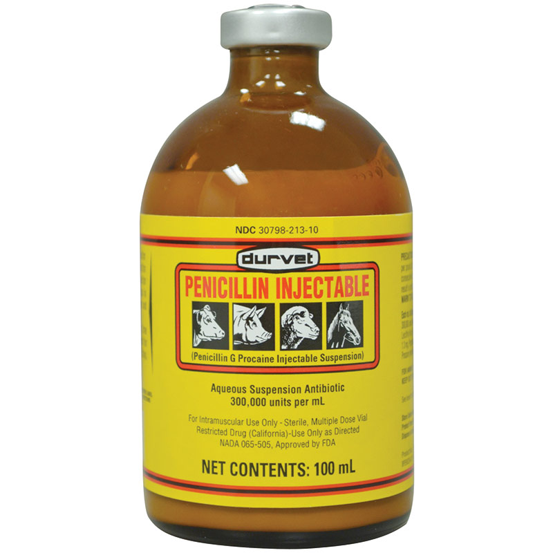 100 mL. Injectable Penicillin Gebo's