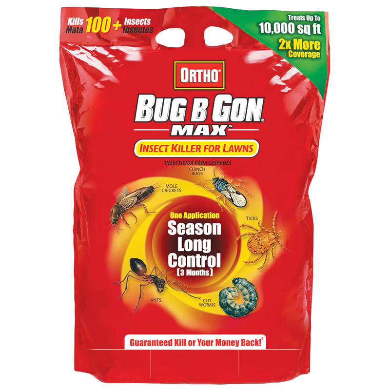 Bugs b gon online