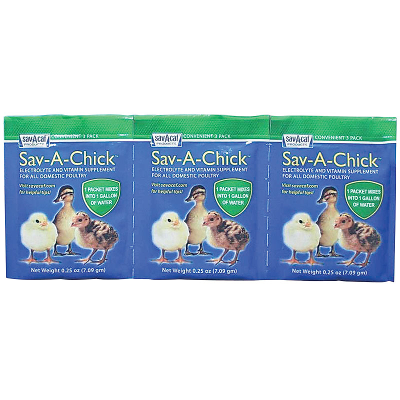 3 Pk. Sav-A-Chick Probiotic - Gebo's