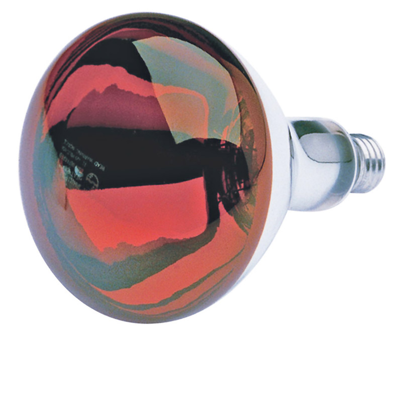 Satco heat lamp deals