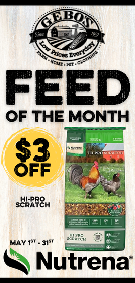 Feed of the Month