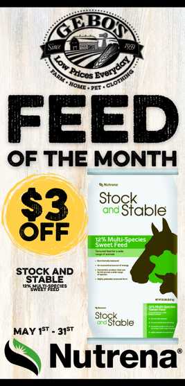 Feed of the Month