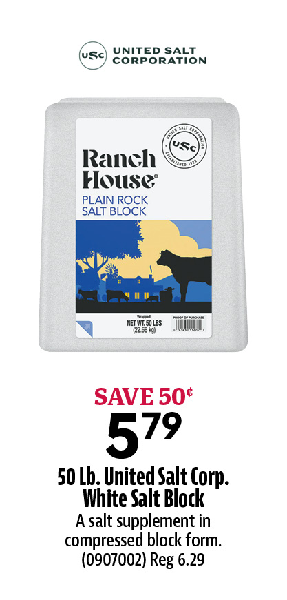 Salt Block